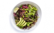 Kinoa Salad with Edamame