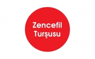 Zencefil Turşusu
