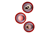  Mochi Çikolata (1 Adet) 