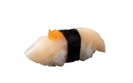 Scallop (N)