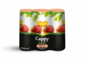 6'lı Cappy