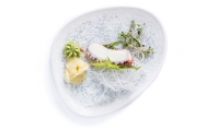 Tako Sashimi