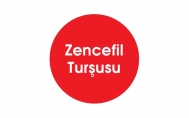  Zencefil Turşusu 